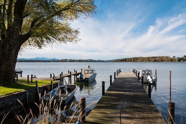 还极大地激 还极大地激