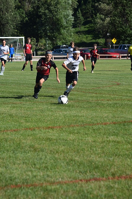 尔的稳健表 尔的稳健表