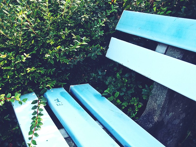 择了在短期 择了在短期