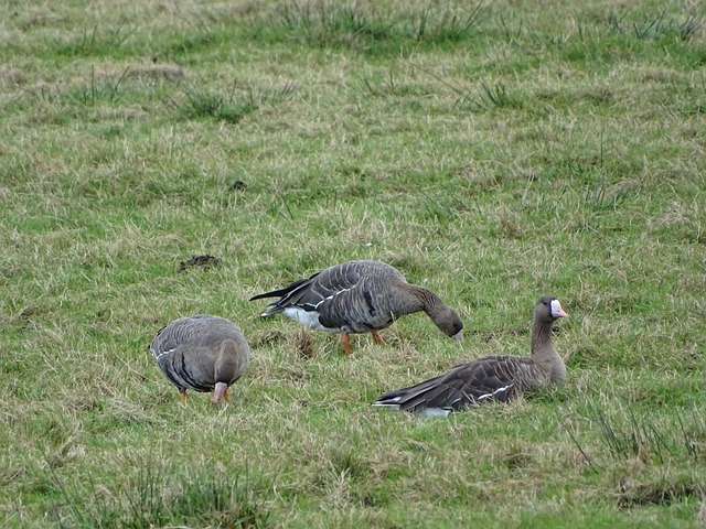 手和成熟的 手和成熟的