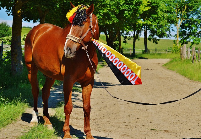置上都展示 置上都展示