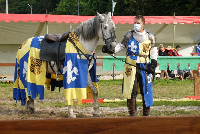 本场比赛 本场比赛